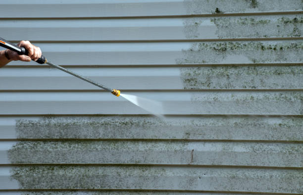 Best Solar Panel Cleaning  in El Jon, CA