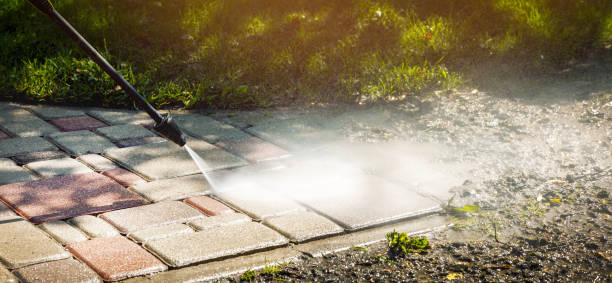Best Pool Deck Cleaning  in El Jon, CA