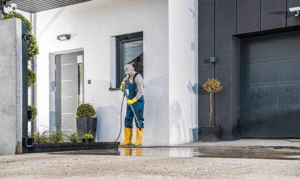 Best Animal Enclosure Cleaning  in El Jon, CA